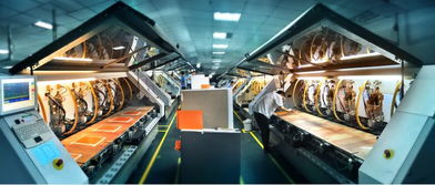 江西對接粵港澳大灣區(qū)投資環(huán)境推介會在龍南成功舉辦 科技推廣和應(yīng)用服務(wù)成焦點(diǎn)